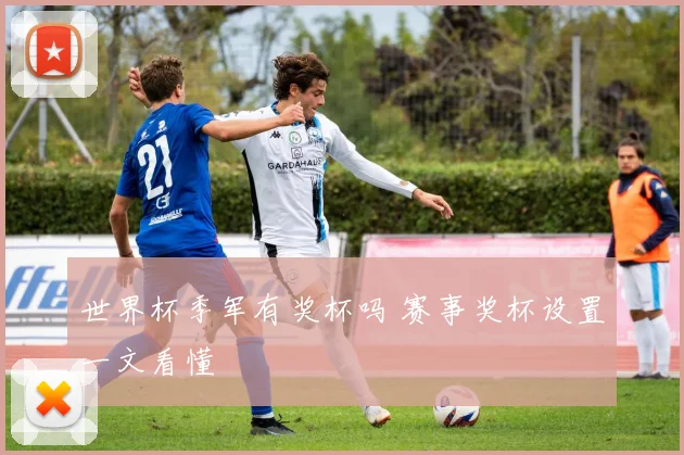 世界杯季军有奖杯吗 赛事奖杯设置一文看懂