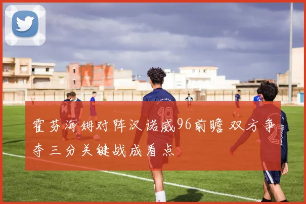 霍芬海姆对阵汉诺威96前瞻 双方争夺三分关键战成看点