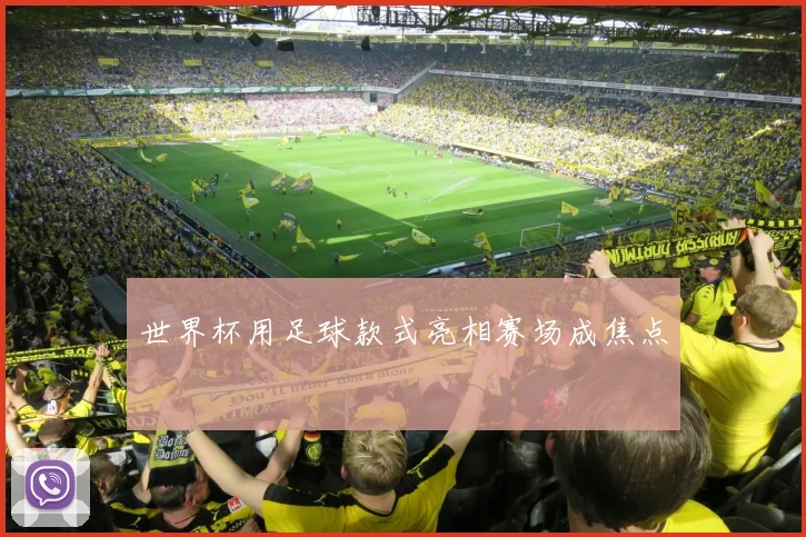 世界杯用足球款式亮相赛场成焦点