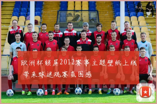 欧洲杯锁屏2012赛事主题壁纸上线 带来球迷观赛氛围感