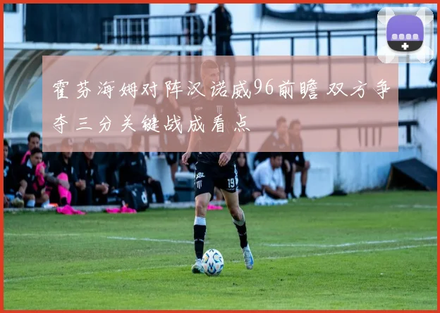 霍芬海姆对阵汉诺威96前瞻 双方争夺三分关键战成看点