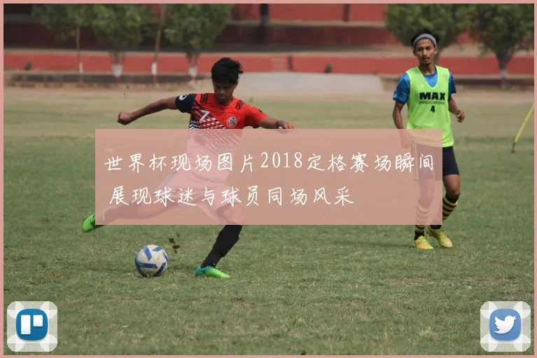 世界杯现场图片2018定格赛场瞬间 展现球迷与球员同场风采