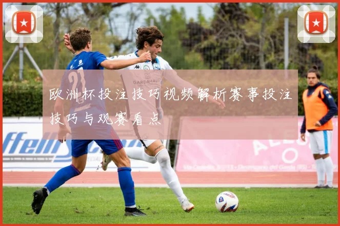 欧洲杯投注技巧视频解析赛事投注技巧与观赛看点