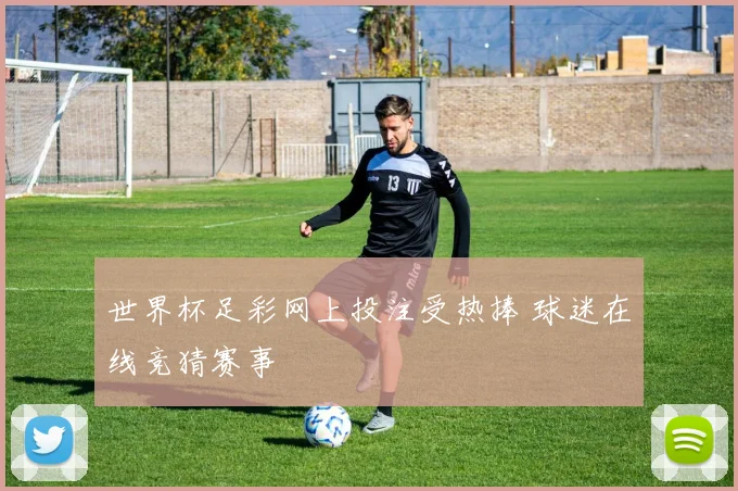 世界杯足彩网上投注受热捧 球迷在线竞猜赛事