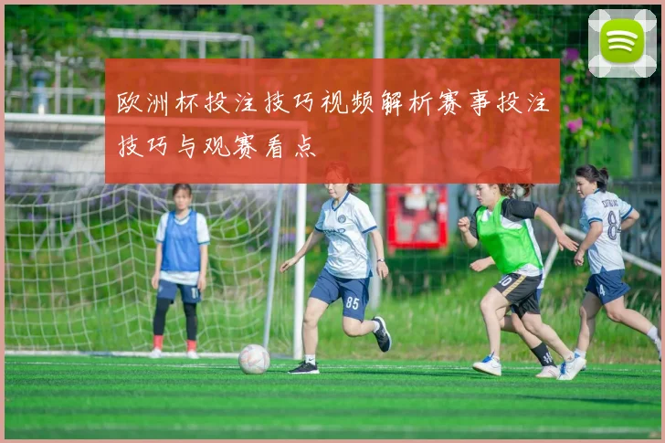 欧洲杯投注技巧视频解析赛事投注技巧与观赛看点