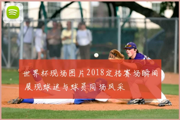 世界杯现场图片2018定格赛场瞬间 展现球迷与球员同场风采