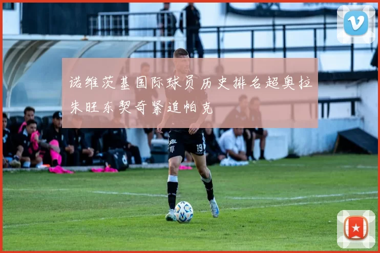 诺维茨基国际球员历史排名超奥拉朱旺东契奇紧追帕克