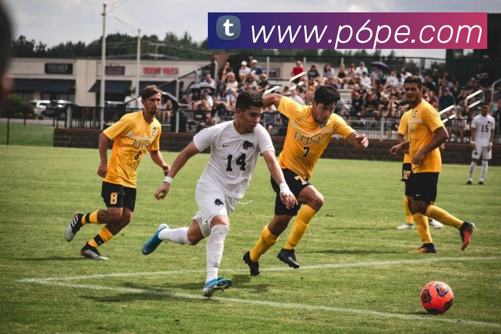 星空体育·(中国)官方网站 - XINGKONG SPORT平台生态图