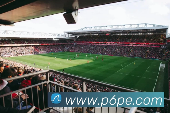 星空体育·(中国)官方网站 - XINGKONG SPORTAPP 封面图